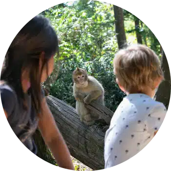 où partir en week-end avec des ados - vallée des singes où partir en week-end avec des ados - vallée des singes