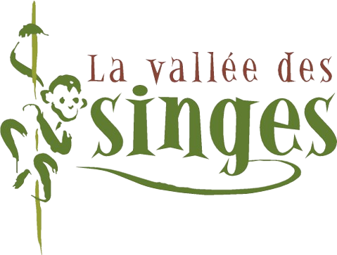 Logo_VDS-fond transparent