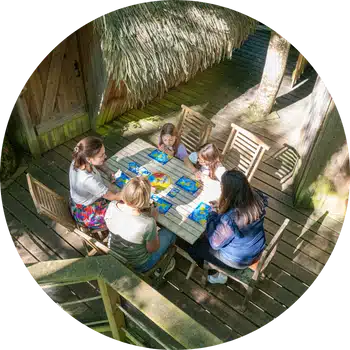 activités pendant un séjour en cabane dans les arbres - nos conseils
